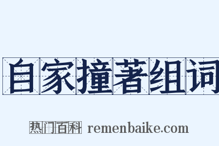 自家撞著组词是什么意思的图片